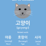 How to Say Cat in Korean