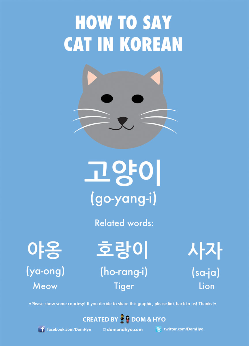 How to Say Cat in Korean – Learn Korean with Fun & Colorful