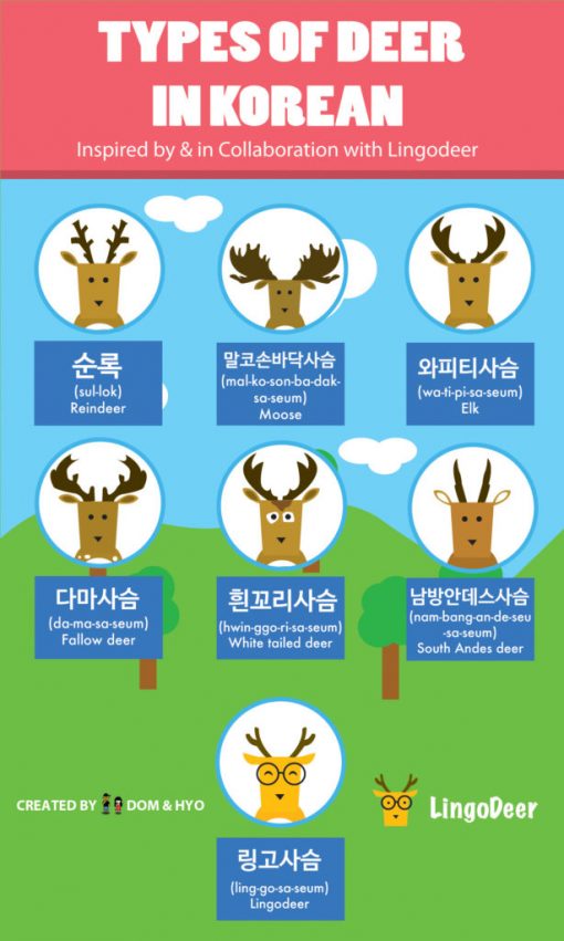 becoming fluent with lingo deer