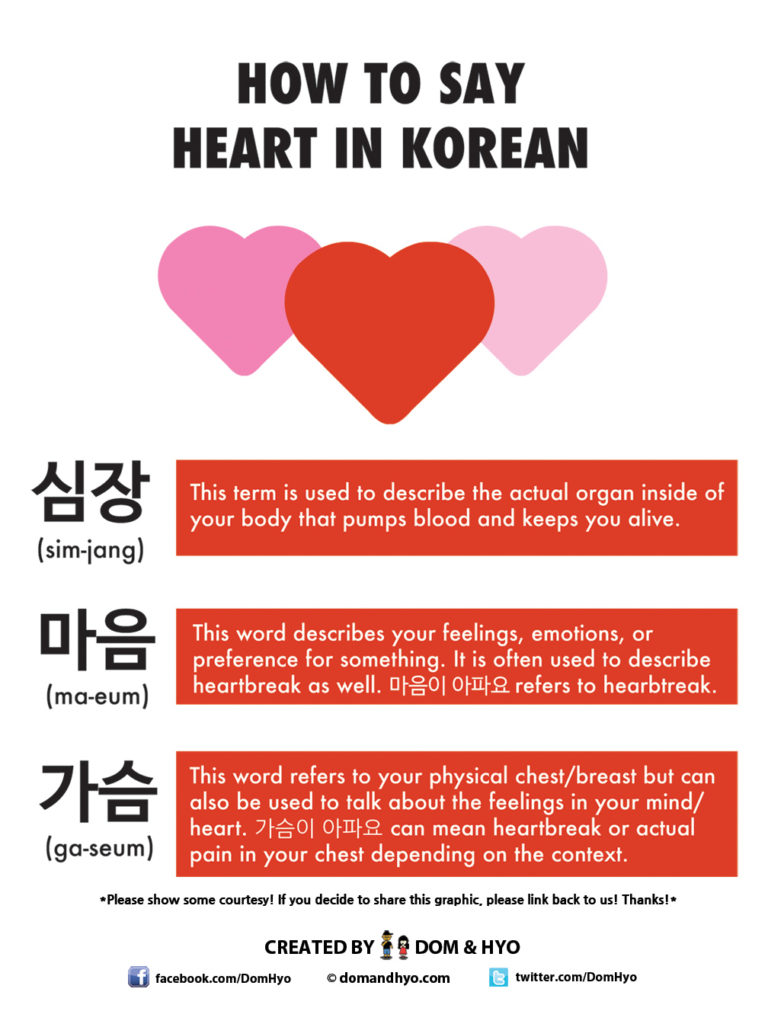 How To Say Heart In Korean Learn Basic Korean Vocabulary Phrases With Dom Hyo