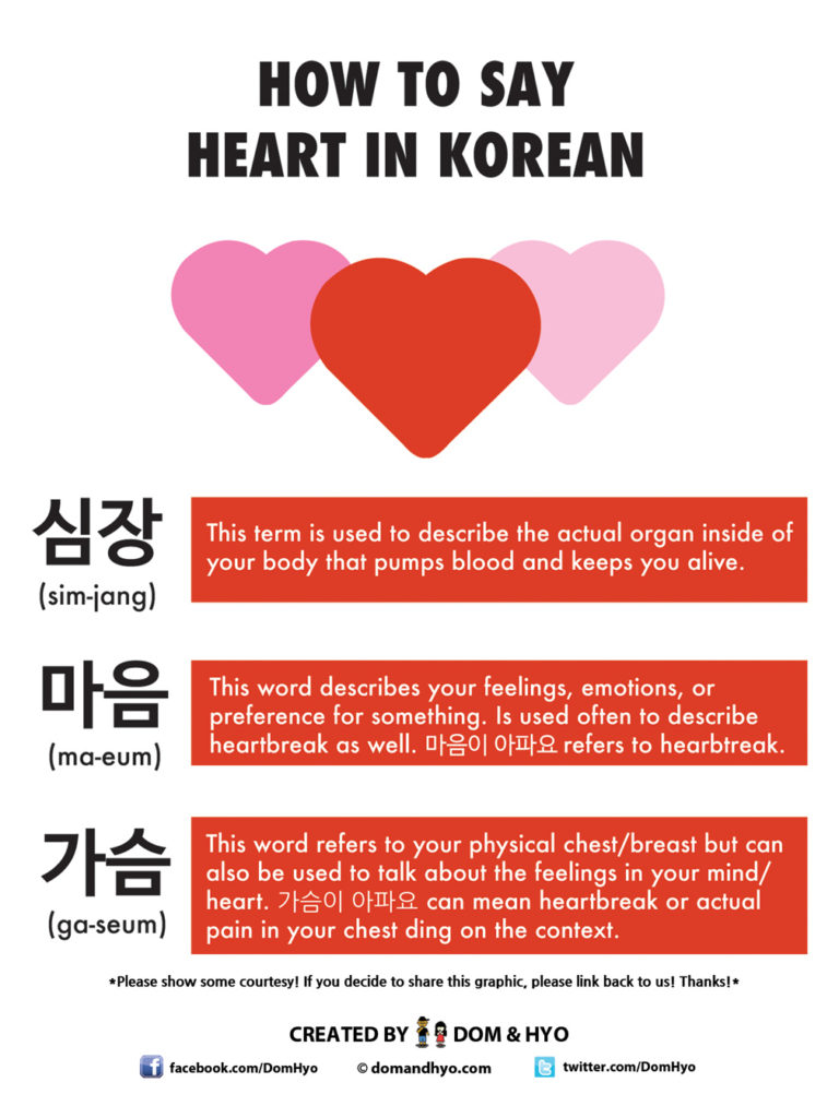 How to Say Heart in Korean – Learn Korean with Fun & Colorful