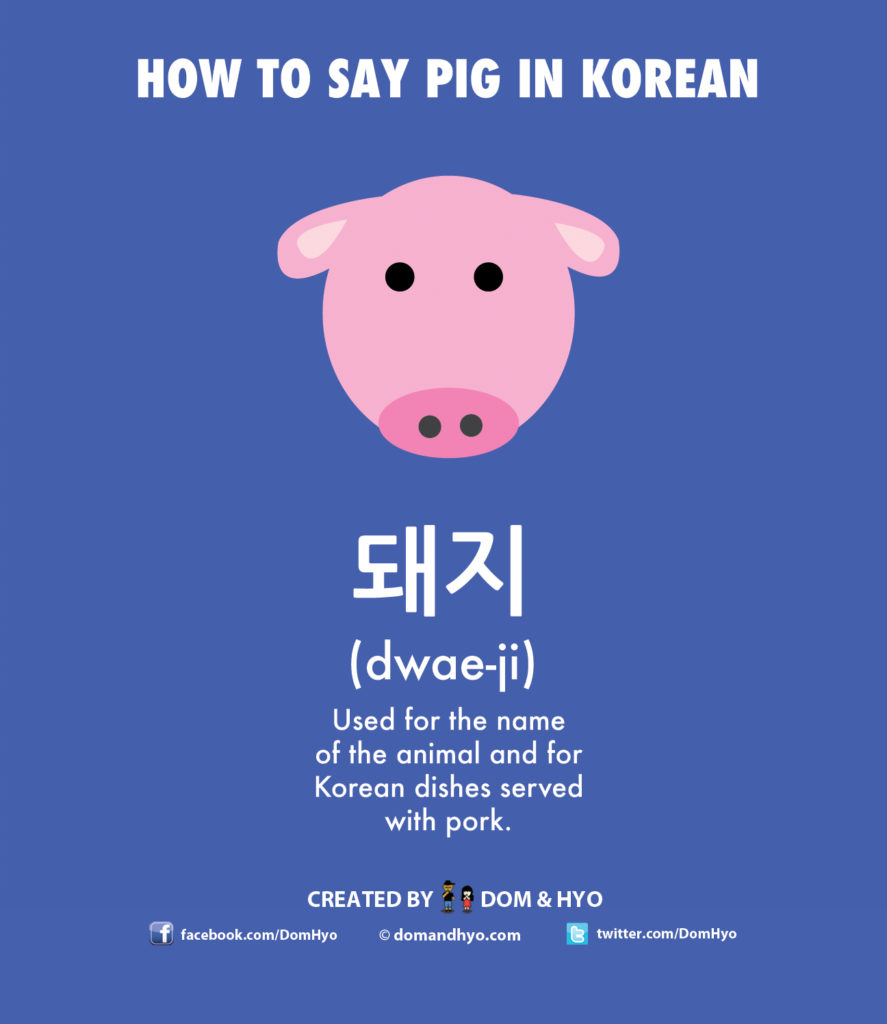 How to Say Pig in Korean