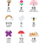 Spring Vocabulary in Korean