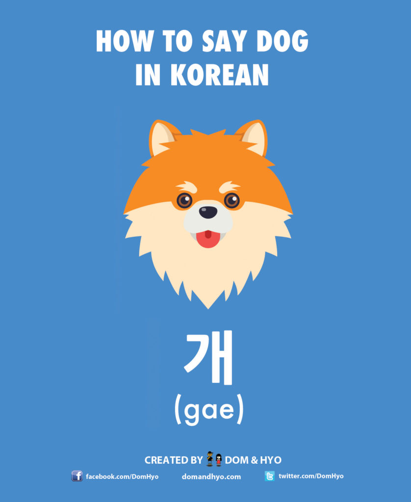 How to Say Dog in Korean