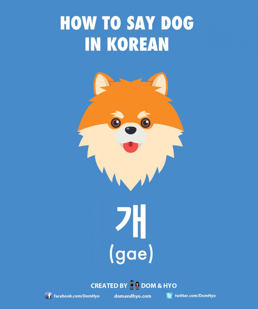 Dog in Korean