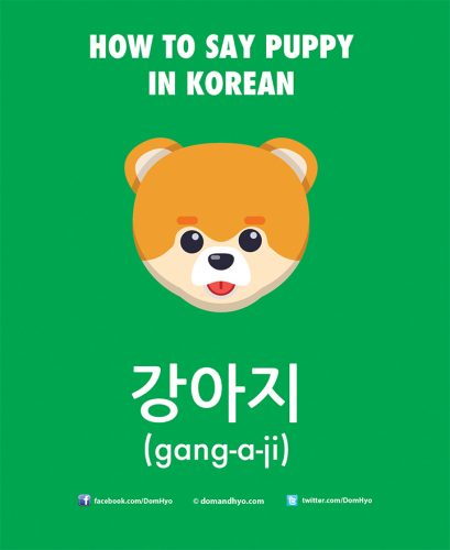 How to Say Puppy in Korean