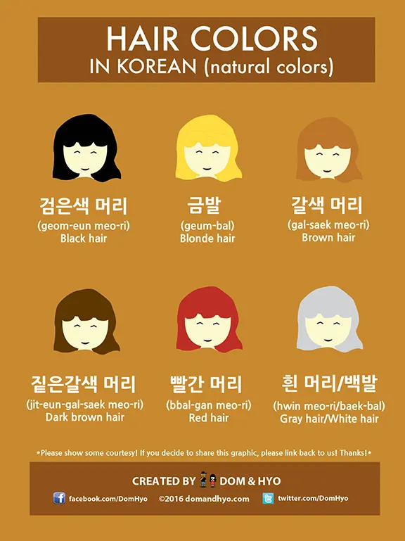 Vocabulary: Hair Colors (Natural) in Korean - Learn Korean with Fun &  Colorful Infographics