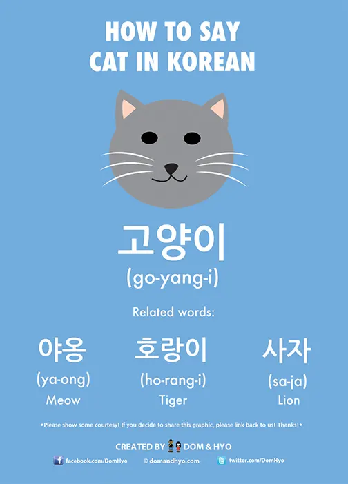 How to say cat in Korean
