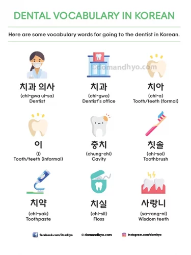 Dental/dentist vocabulary in Korean